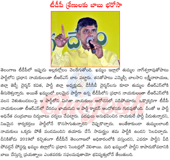 chandra babu naidu,ap cm chandra babu,thummalla nageshwar rao joining trs,thummala leaving tdp,chandra babu on thummala,chanra babu about thummala nageshwar rao  chandra babu naidu, ap cm chandra babu, thummalla nageshwar rao joining trs, thummala leaving tdp, chandra babu on thummala, chanra babu about thummala nageshwar rao